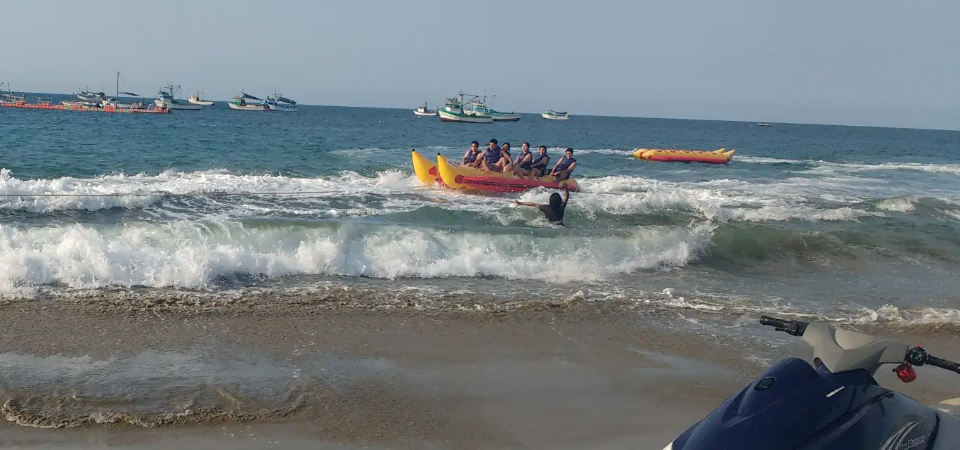 Programas y tours incluidos